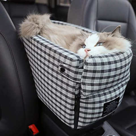 Scaun Auto Pentru Animale — Transport Sigur Și Confortabil