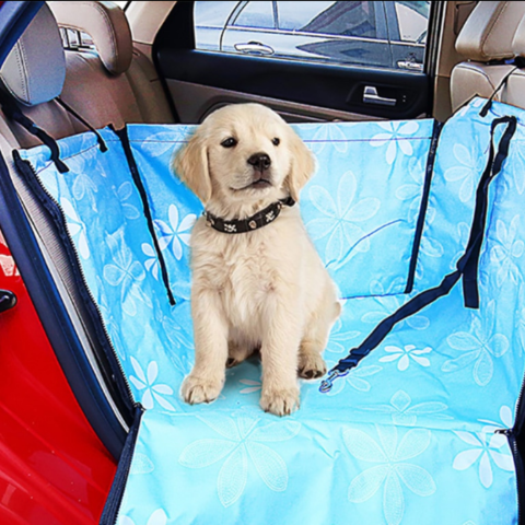 Housse De Siège Voiture Pour Chien – Protection Et Confort En Trajet