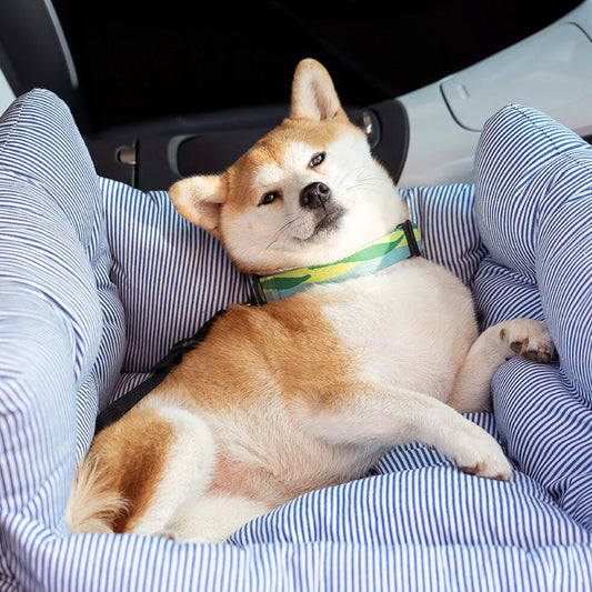 Dog Car Seat – Optimal Comfort While Traveling