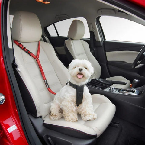 Adjustable Safety Strap for Dog – Special Car 