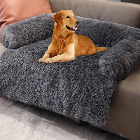 Multifunktionales Hundesofa — Komfort im Auto 