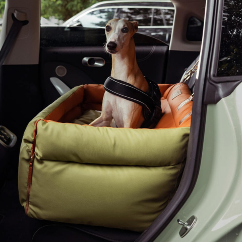 Hond Auto Kussen – Ondersteuning En Comfort Onderweg 