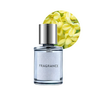 Diffuseur Aromatique Pour Voiture – Senteur Et Style