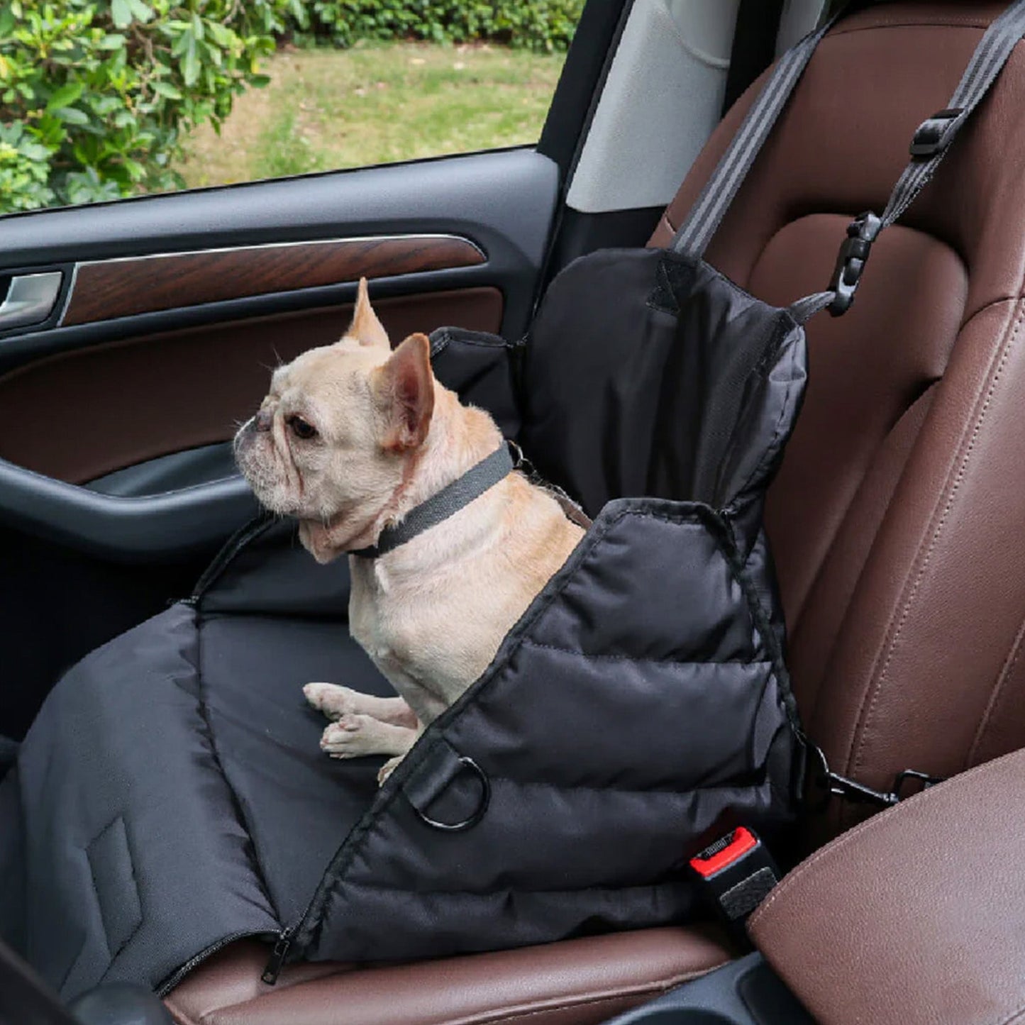 Auto košík pre psa – Pohodlie a bezpečnosť na ceste 